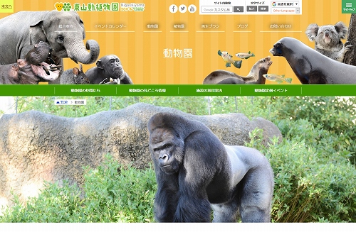 シャバーニの年齢が気になる 東山動物園の人気ゴリラのグッズも凄い