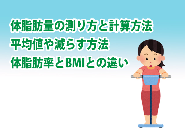 体脂肪量の測り方と計算方法 体脂肪量の平均値と減らす方法 体脂肪率やbmiとの違いについて